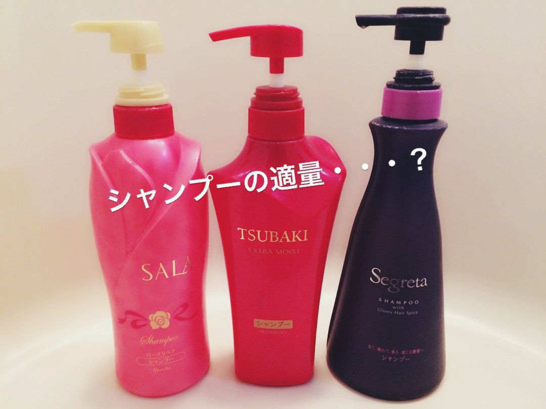 髪の毛王に俺はなる シャンプーの適量とは おふろ部