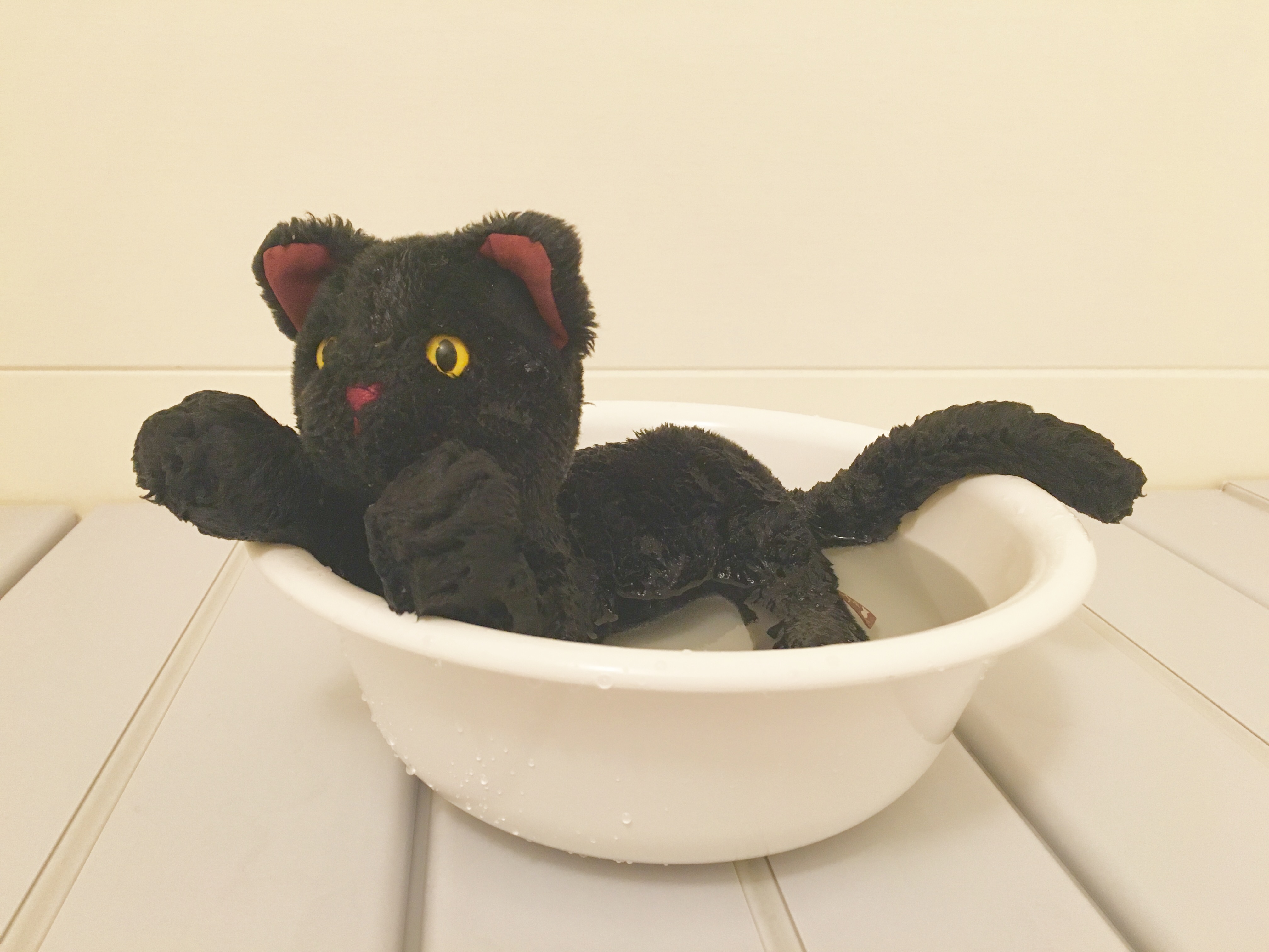 猫のぬいぐるみ入りお風呂