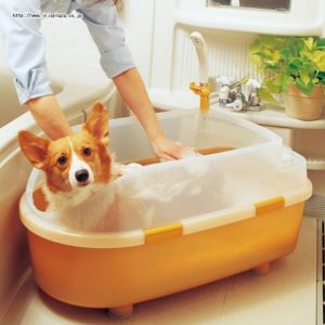 ペット用バスタブで体を洗う犬