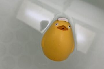 おふろ　浮かぶ　アヒル