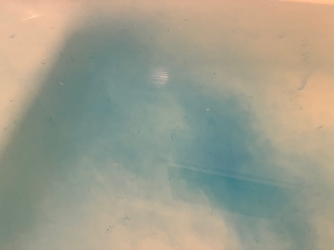 バスソルト 投入後