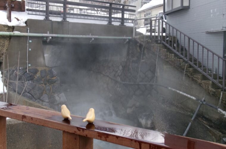 蔵王温泉　湯めぐり　イメージ