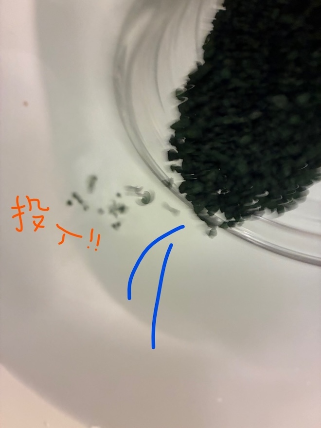 クナイプ「バスソルト ホワイトバーチ＜白樺＞の香り」投入